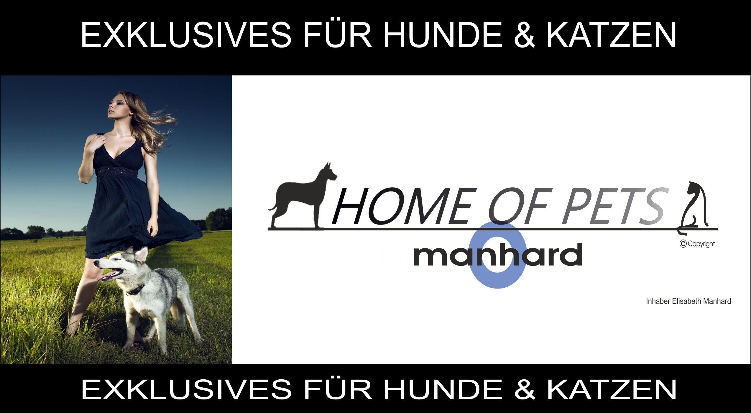 katzenhaus_home-of-pets